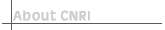 About CNRI